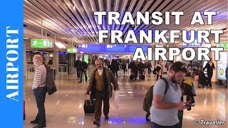 TRANSIT WALK AT FRANKFURT Airport FRA Terminal 1  Connection Flight Transfer Arriving amp Departing [upl. by Kuhn310]